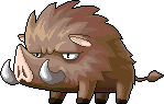 Primitive Boar