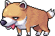 Stray Dog