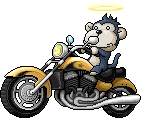 Biker Monkey